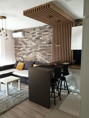 2 Ђорђа Рајковића Apartment